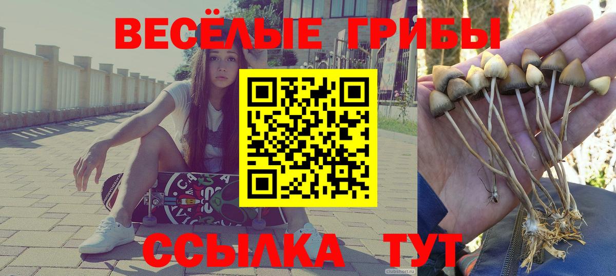 Анжеро-Судженск  Псилоцибиновые грибы Magic Shrooms  цена   Вход с VPN  Галлюциногенные грибы GOLDEN TEACHER 